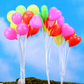 Whimsical Fairy Garden: A Collection of Miniature Decor